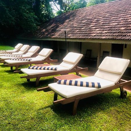 Ekho Sigiriya Hotel Екстериор снимка